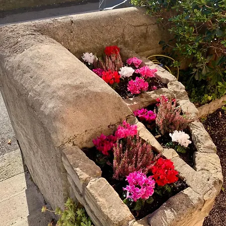 דירה Residenza Caterina Maslianico