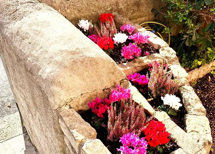 Residenza Caterina דירה *